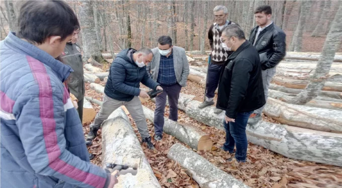 Orman İşletmesi Mustafakemalpaşa'ya nefes oldu!