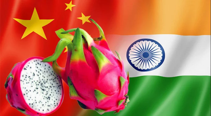 Hindistan, ejderha meyvesinin adını Çin'i anımsattığı için değiştirdi!