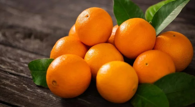 Boztepe Tarım İşletmesi Müdürlüğü'nden portakal satış ihalesi