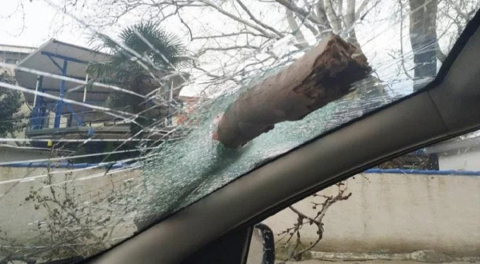 Bursa'da lodostan devrilen ağaç otomobilin camına ok gibi saplandı!