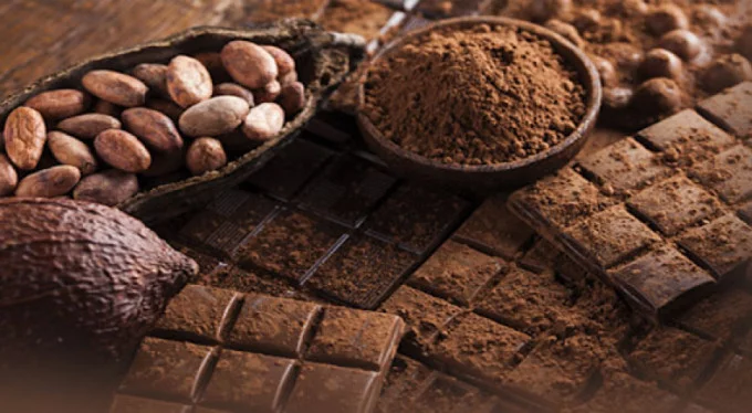 Şekersiz çikolata nasıl yapılır? Kilo aldırmayan çikolata tarifi