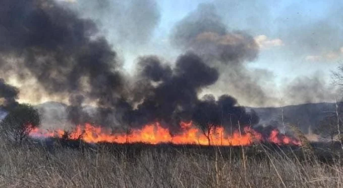 Bursa İznik Gölü'nde korkutan yangın: 60 dönüm arazi kül oldu!