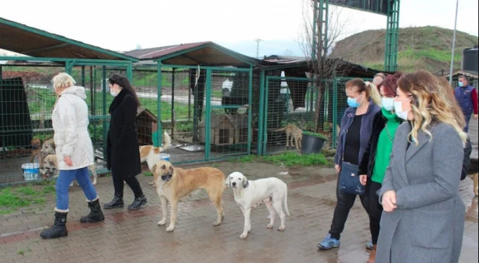 Bursa'da Özhan gönüllüleri sokak hayvanlarını unutmadı!