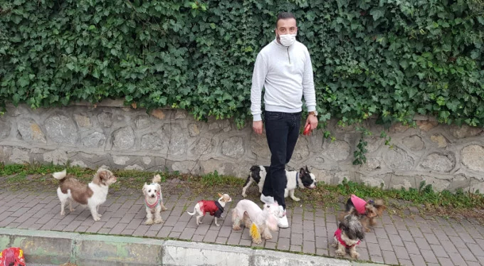 Bursa'da tek komutla 7 tane köpeği karşıdan karşıya geçiriyor!