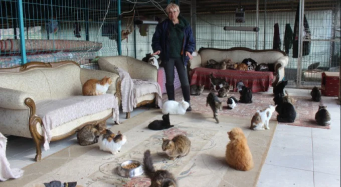 Yok böyle bir ev... Bursa'da tam 250 kediye annelik yapıyor!