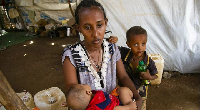Etiyopya'dan Sudan'a kaçan sığınmacıların zorlu mücadelesi!