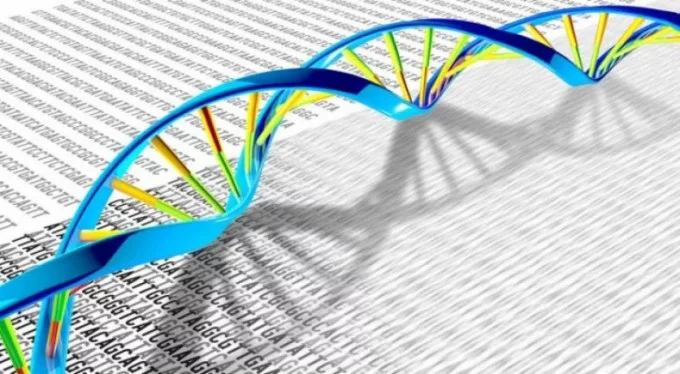 İnsanların genetik çeşitliliğini daha iyi açıklayacak 64 yeni genom sıralandı!