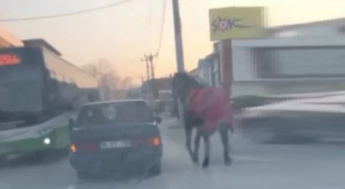 Bursa'da aracına at bağlayıp caddelerde koşturdu!
