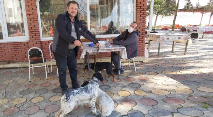 İznik'te köpeklere kuduz aşısı!