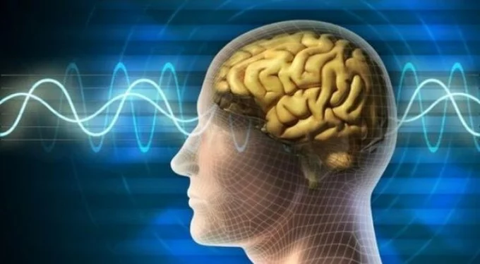 İnsan beyni, ilk kez kablosuz bir şekilde bilgisayara bağlandı!