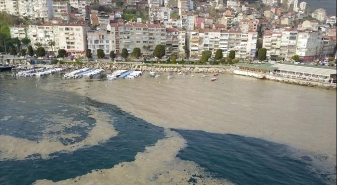 Bursa'da, plankton çoğalması deniz suyu kahverengiye dönüştürdü!