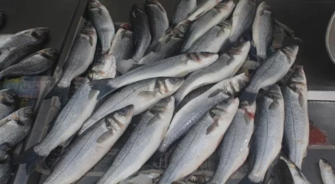 Yasak sonrası balık fiyatları yükseldi