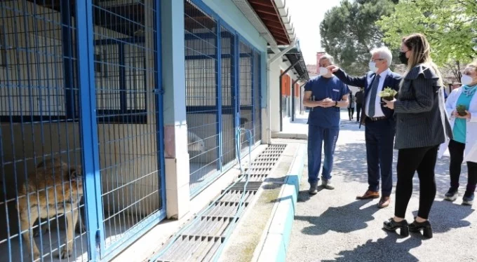 Nilüfer Belediye Başkanı Erdem veteriner hekimlerin gününü kutladı!