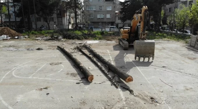 Anlamlı mücadele! Bursa'da ağaç katliamını mahalleli önledi!