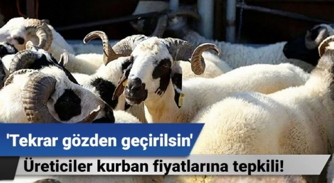 'Tekrar gözden geçirilsin' Bursa'da üreticiler kurban fiyatlarına tepkili!