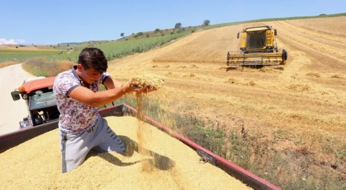 Bursa'da çiftçi umudunu buğdaya bağladı!
