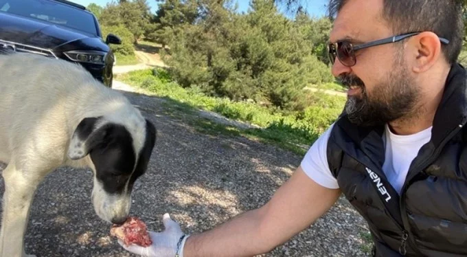 Bursa'da sokak hayvanlarına özel ciğer kebaba ödül