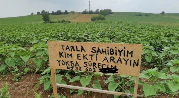 Bursa'daki tarlada şaşkına çeviren tabela: Beni arayın yoksa...!