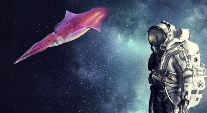 Mürekkep balıkları uzayda yaşamın sırrı mı?