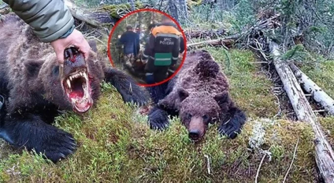 Parkta korkunç olay... 16 yaşındaki çocuğu ayı yedi!