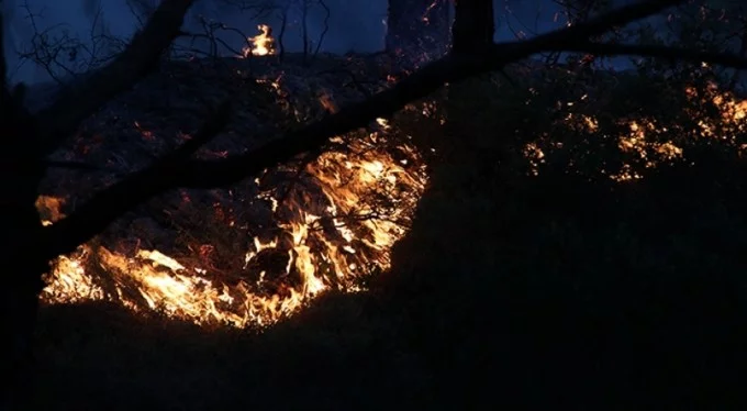 Foça'da orman yangını! Saatler sonra kontrol altına alındı