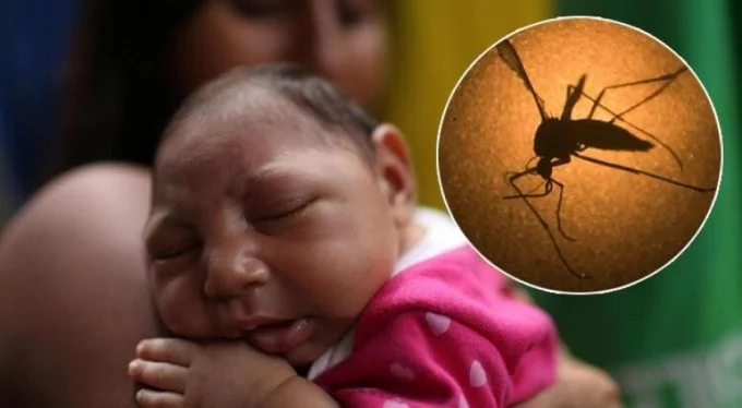 Zika virüsü alarmı! 14 kişide tespit edildi