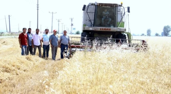 Bursa'da durum vahim! 'Çiftçi artık ekmeye korkar hale geldi'