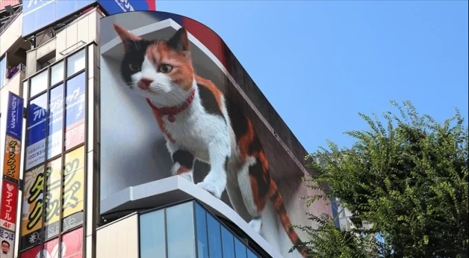 3D kedi şehri izliyor, halkı selamlıyor!