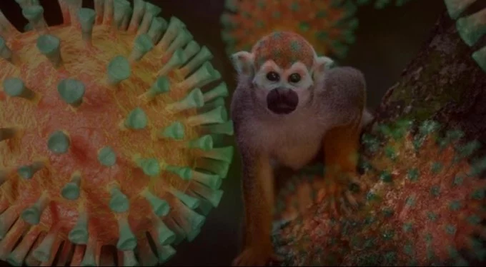 ABD'den korkutan haber: 200 kişide Maymun çiçeği virüsü