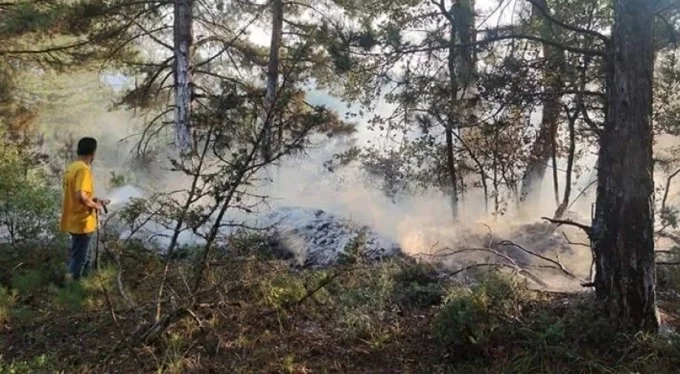 Bursa'da yıldırım orman yangınlarına sebep oldu