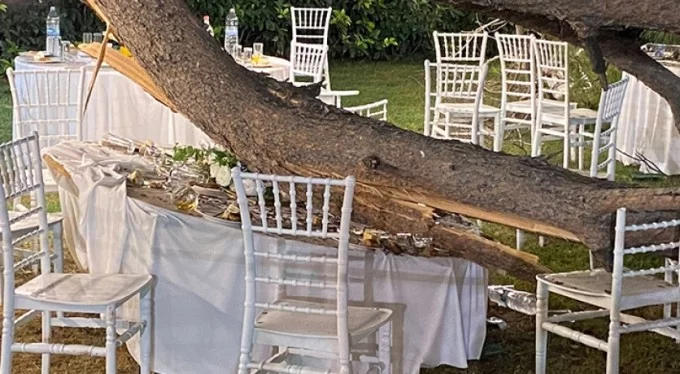 Antalya'da kır düğününde ağaç devrildi: 1 ölü