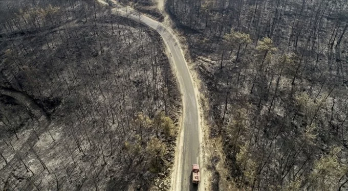 Yangından etkilenen yerler 'Genel Hayata Etkili Afet Bölgesi' ilan edildi