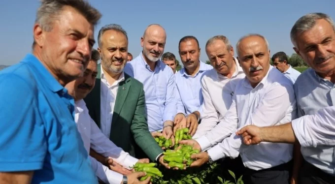 Bursa Büyükşehir destekliyor, çiftçi kazanıyor! 'Alım garantili sözleşmeler yapacağız'