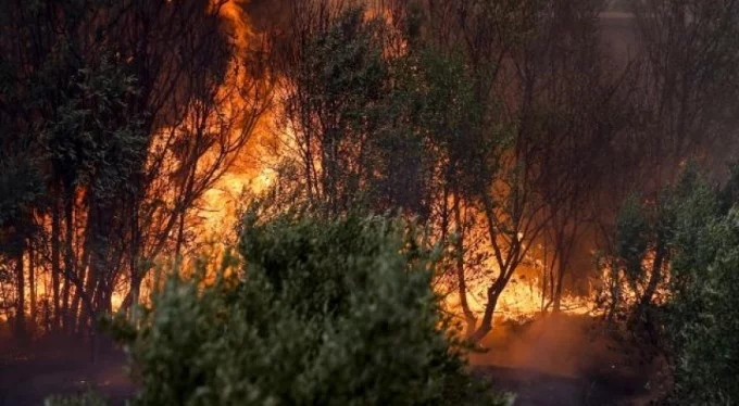 Manavgat'taki yangından acı haber! Karı-koca ölü bulundu