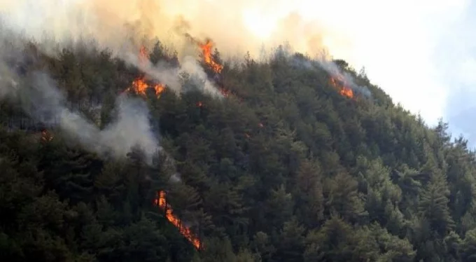 Antalya Kaş'ta orman yangını!