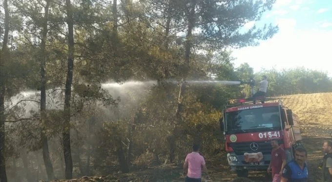 Adana Kozan'da çıkan orman yangını kontrol altına alındı