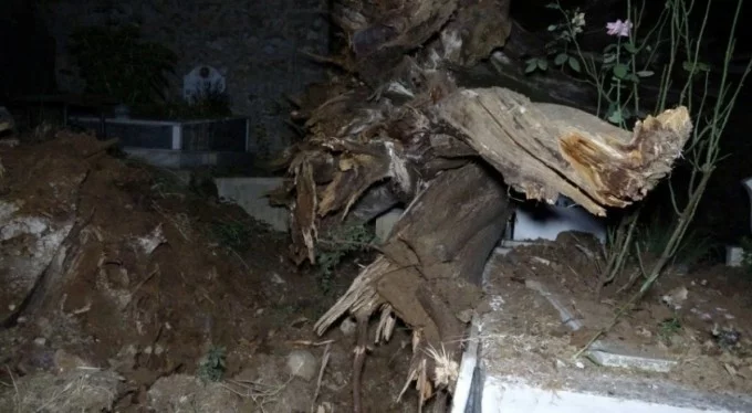 Bursa'da çınar ağacı şehit mezarının üzerine devrildi