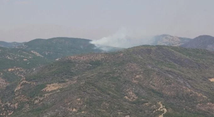 Tunceli'deki yangınlarda son durum!