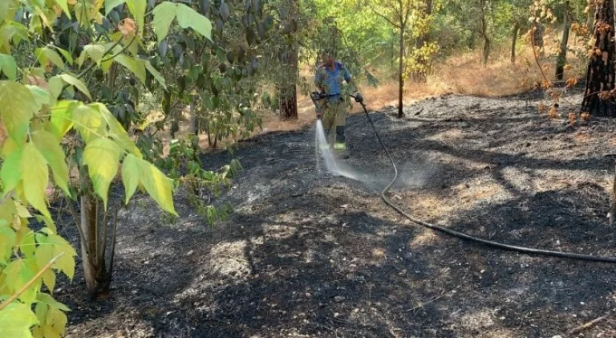 Bursa'da peş peşe yangın... Orman kül olmaktan kurtarıldı!