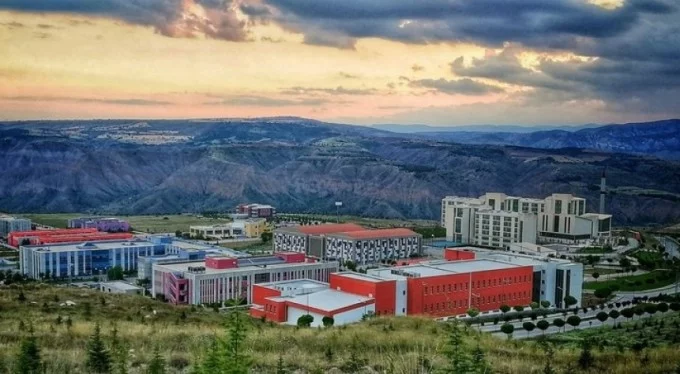 Çankırı Karatekin Üniversitesi 25 Öğretim Üyesi alacak