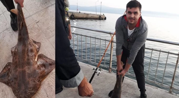 Kepçeyle karaya çıkardı! Bursa'da amatör balıkçının oltasına takıldı