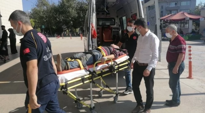 Bursa'da ceviz ağacından düşen yaşlı adam ağır yaralandı