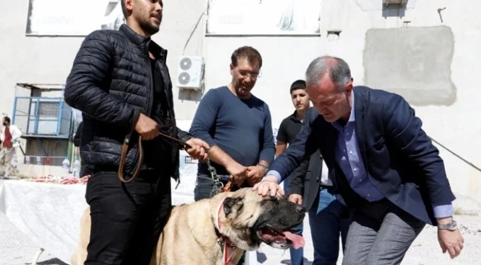 Çoban köpekleri Bursa'da yarıştı