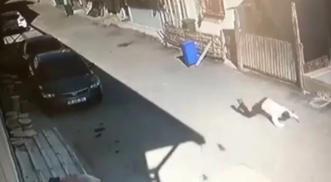 Bursa Panayır'da korkunç olay! Sokak ortasında sırtından vurdu