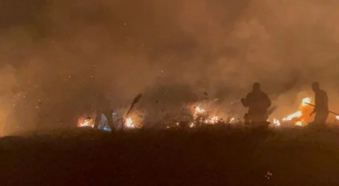 Bursa'da İznik Gölü kıyısında büyük yangın