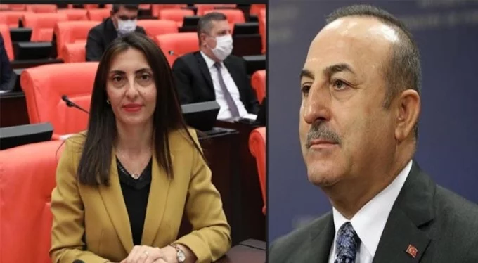 CHP'li Kayışoğlu'ndan Bakan Çavuşoğlu'na 'Afganlı' sorusu