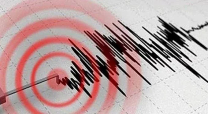 Japonya'da 6.6 büyüklüğünde deprem