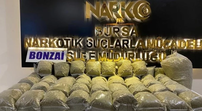 Bursa'da 58 kilo bonzai ele geçirildi
