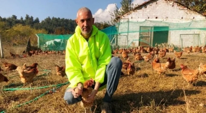 Yumurta üreticisi Bakan Pakdemirli'den destek istiyor