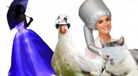 Aliexpress'te görüp görebileceğiniz en garip 15 ürün!